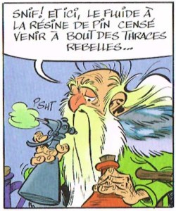 Asterix-Papyrus_de_Cesar-p41
