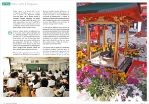 annee-japonaise-sample