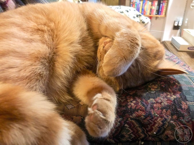 Please turn the light off!