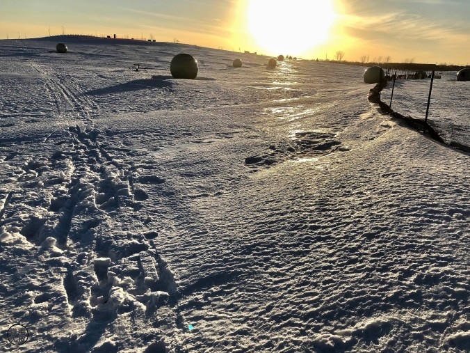 Sunset on the snowy park