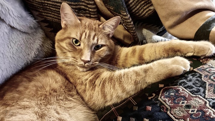 Caramel • 2019/09/24