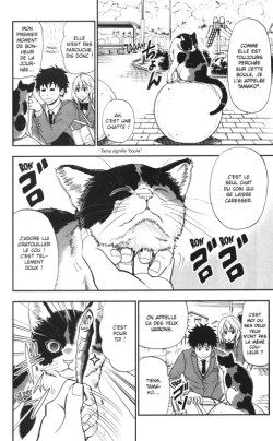 Felin_pour_l_autre-1-p014