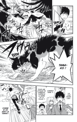 Felin_pour_l_autre-1-p037