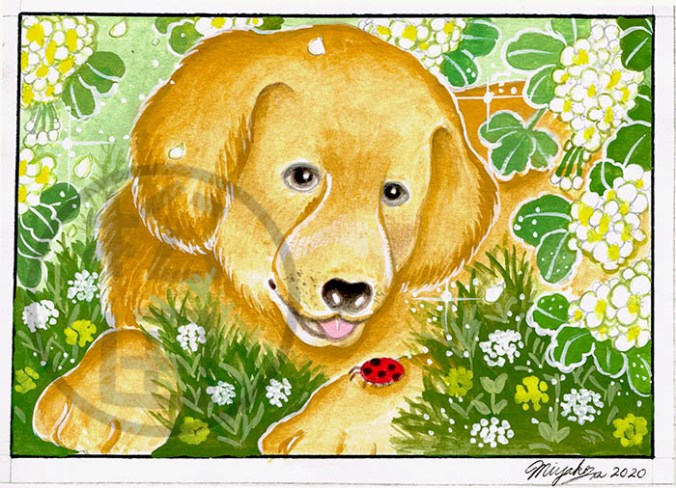 Spirea-Lab-ladybugLowResWM