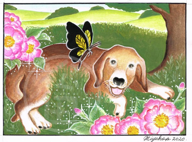 BeagleAndRosesLowResWM