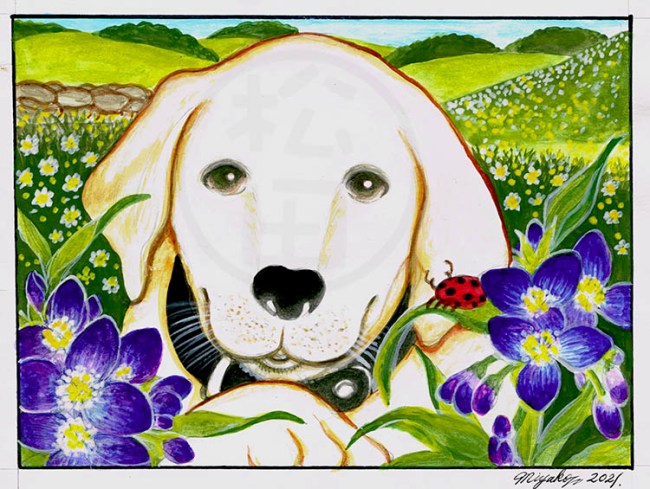 Lab-EphemereDeVirginieLowResWM