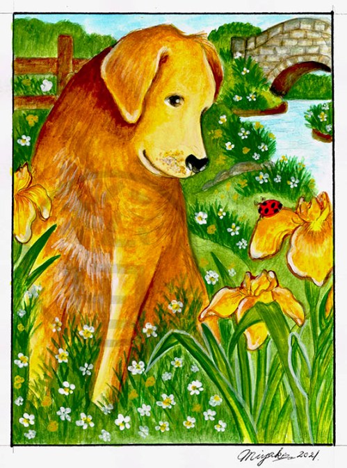 DogLadyBugAndYellowIrisLowResWM