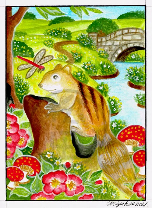 TamiaDragonflyMushroomsLowResWM