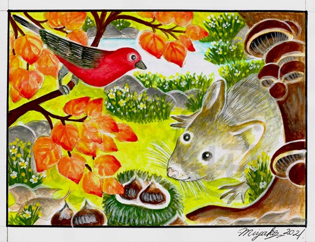 WhiteFootedMouseRedBirdLowResWM