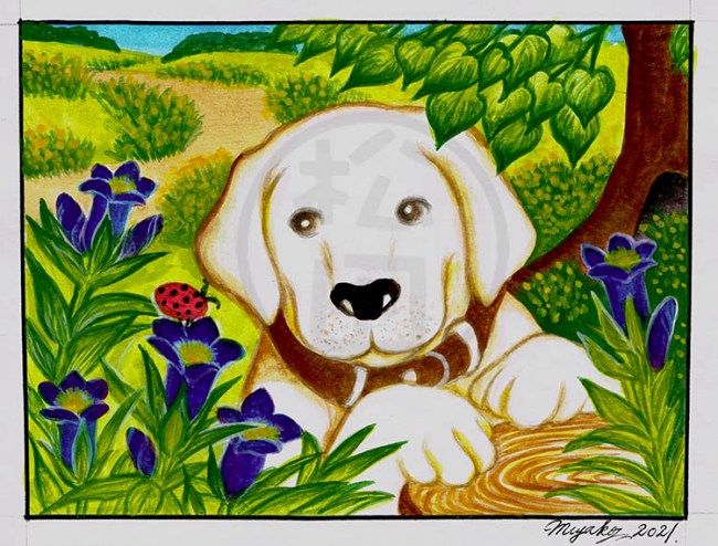 LabLadybugBlueFlowers