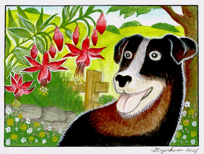 TerrierFushiaLowResWM