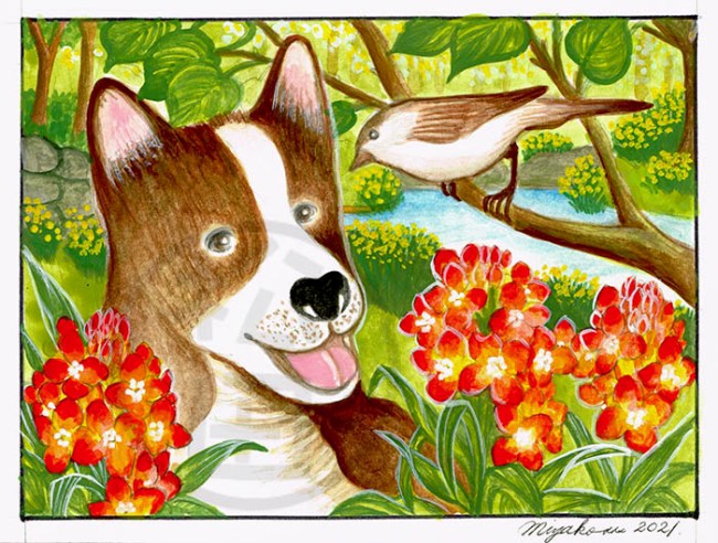 ShibaInuBrownBirdOrangeFlowersLowResWM