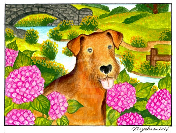 TerrierHydrangeaLowResWM