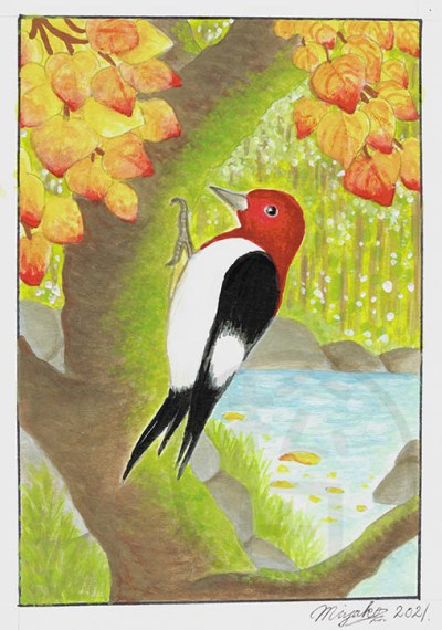 PicATeteRougeLowResWM