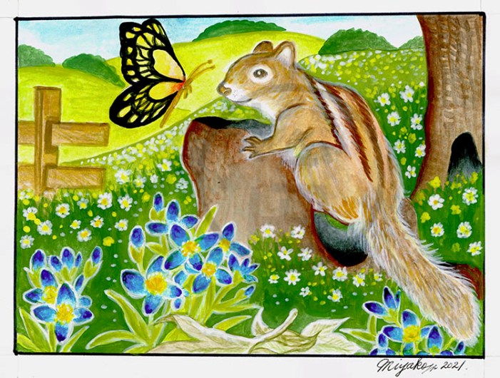 TamiaRaye-BleuetsLowResWM