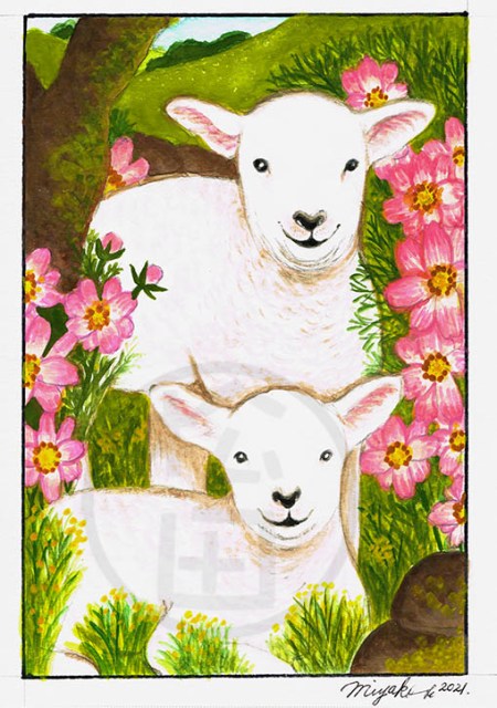 TwoSheepWithPinkFlowersLowResWM