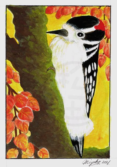 DownyWoodpeckerInFallLowResWM