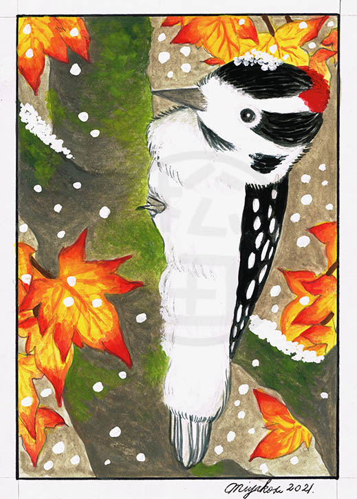 DownyWoodpeckerInWinterLowResWM