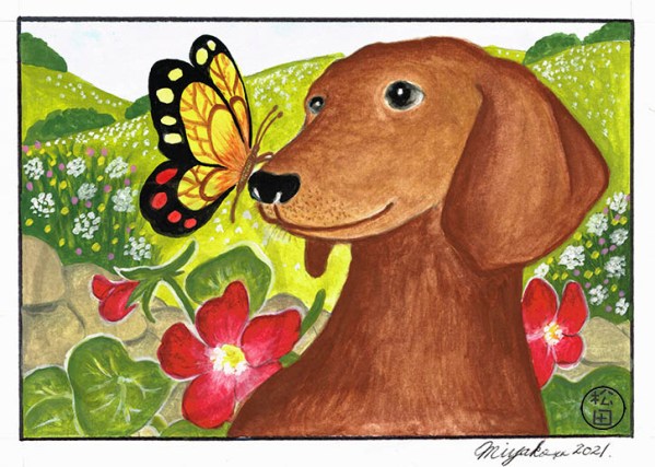 TeckelDachshundWithButterflyLowResWM