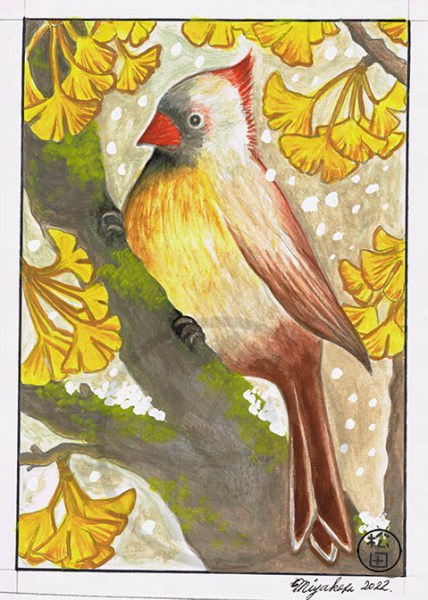 FemaleCardinalInGinkoTreeLowResWM