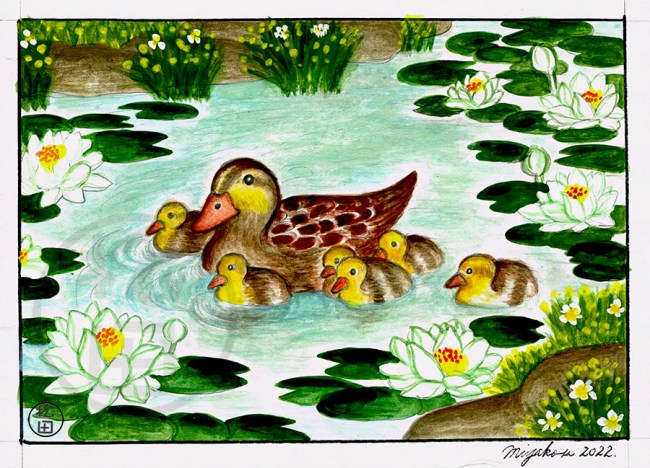 ColvertMotherAndDucklingsWithWaterliliesLowResWM