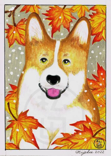 WelshCorgiWithMappleLeavesLowResWM