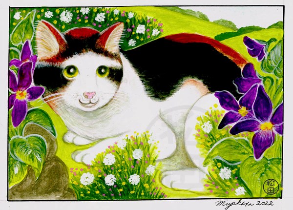 MikeNekoCatWithVioletsLowResWM