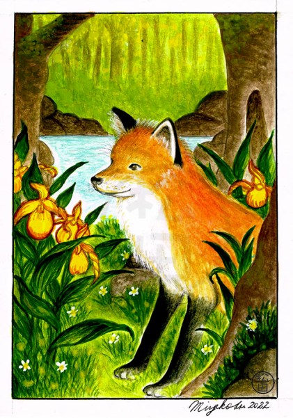 RedFoxWithYellowOrchidsLowResWM