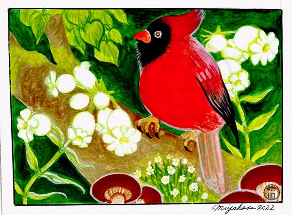 CardinalMushroomsWithSileneVulgarisLowResWM