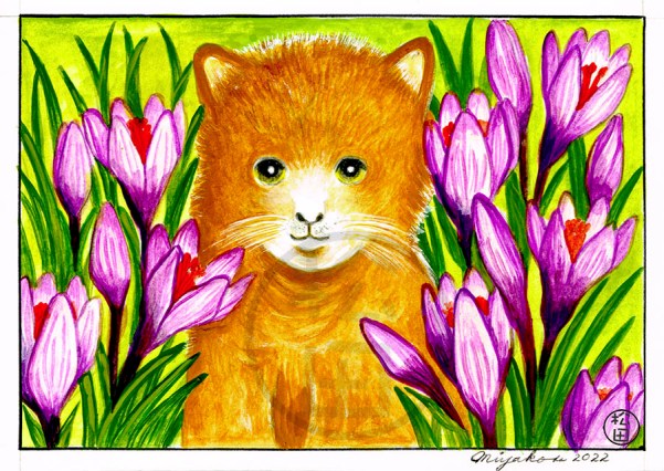 SadCatWithCrocusLowResWM